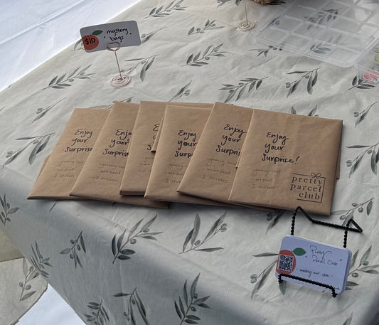 Mystery Bag